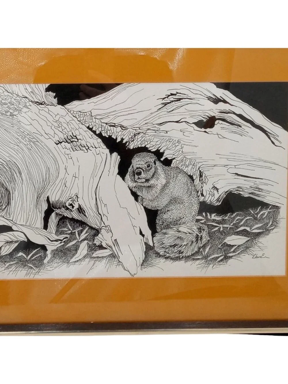 Woodchuck Wall Art Framed Pen And Ink Drawing Print Signed 21 x 16 Cabin Decor